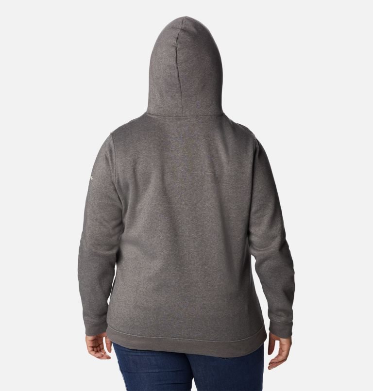 Women's Columbia Trek Graphic Hoodie Dark Grey | Plus Size CA-VL40C